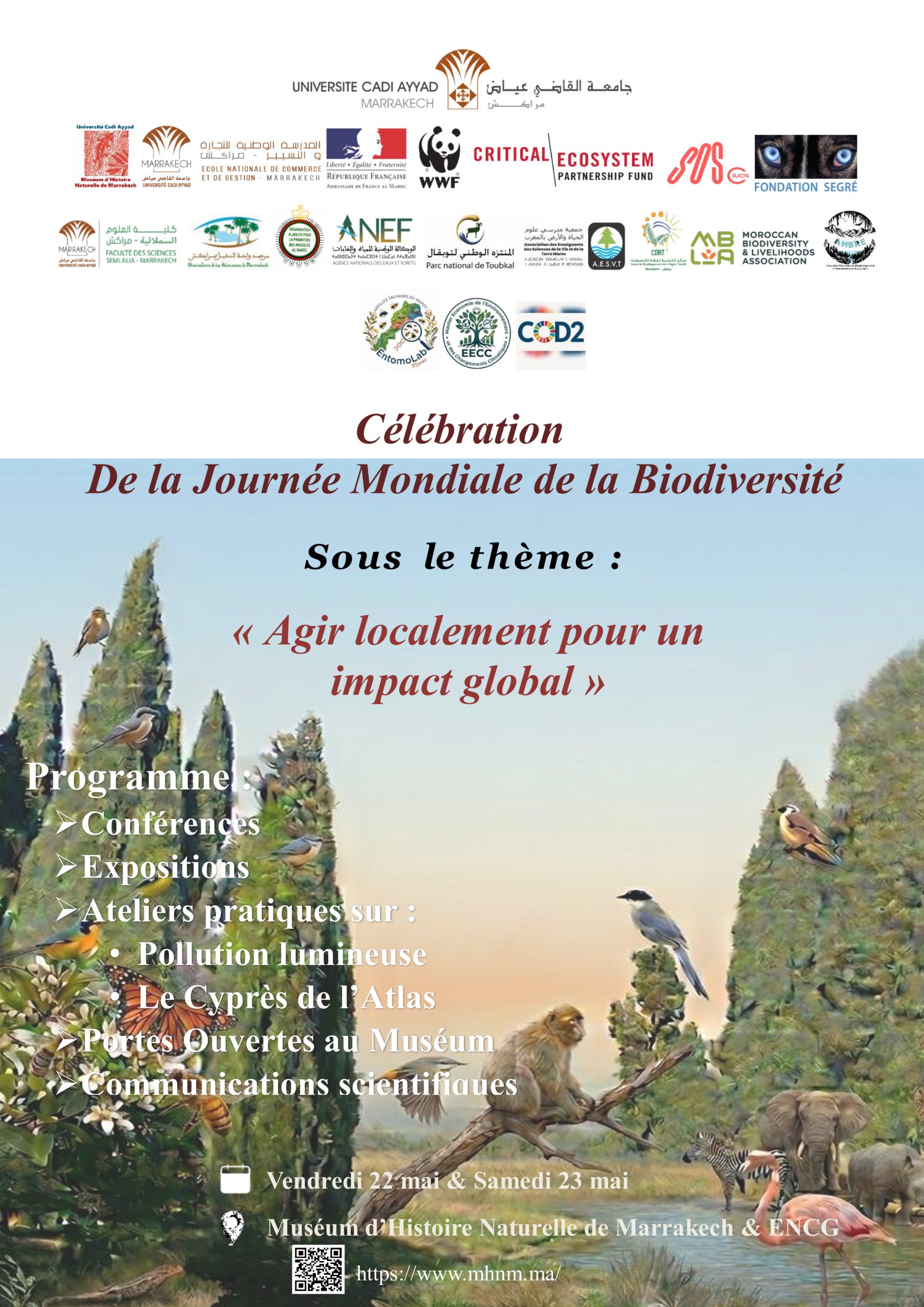 Muséum d’Histoire Naturelle de Marrakech s’engage pour la Biodiversité 2026