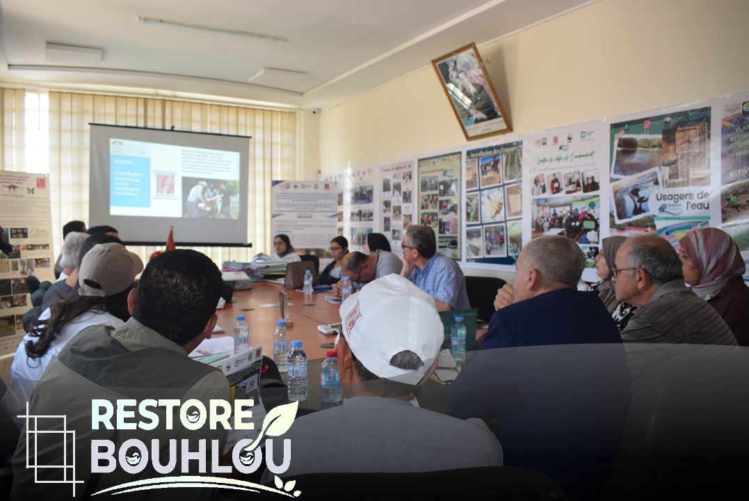 Workshops final du projet RESTOREBOUHLOU
